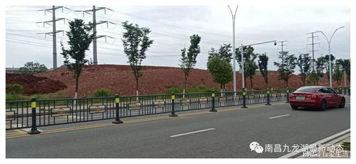 九龍湖大型公園綠化新篇章 巧借坡度塑特色，園林施工展新姿
